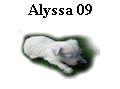 Alyssa 09