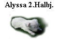 Alyssa 2.Halbj.