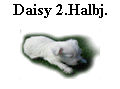 Daisy 2.Halbj.