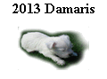 2013 Damaris
